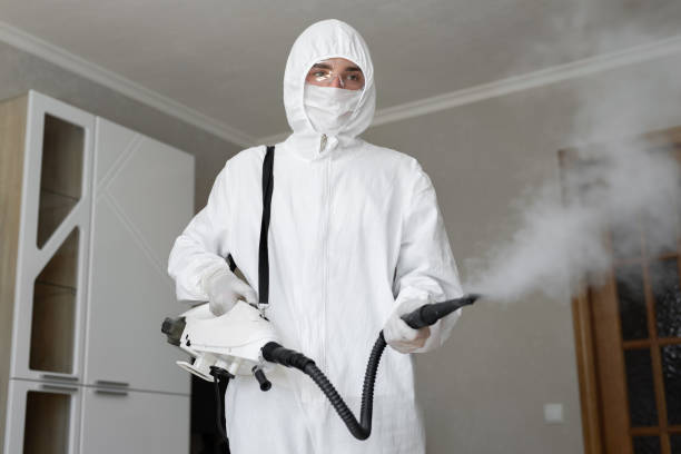 Best Comprehensive Air Testing for Mold Contaminants  in Matamoras, PA